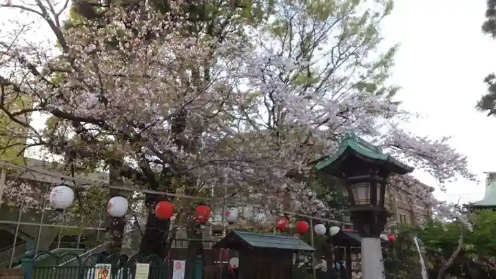 桜神宮(東京都)