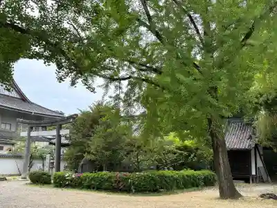 道明寺天満宮(大阪府)