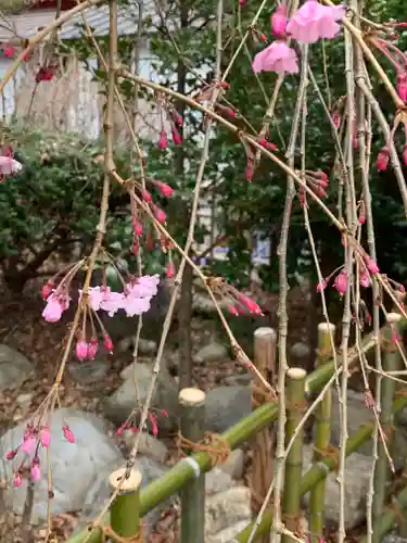 秩父今宮神社の自然