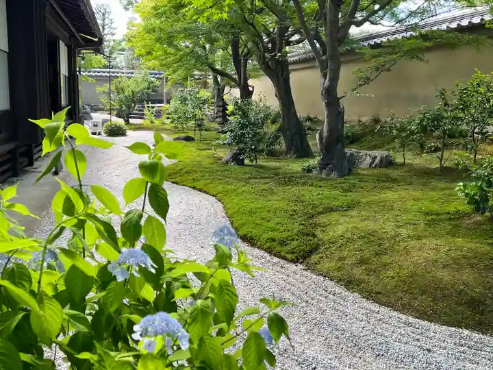 黄梅院(京都府)