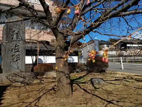 金剛寺の山門・神門