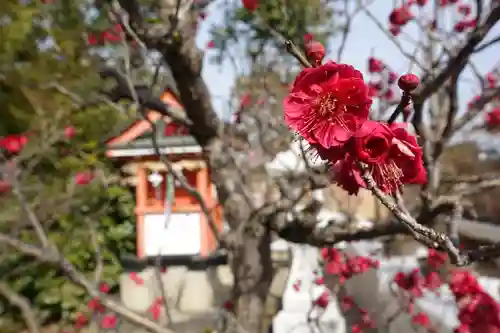 菅原天満宮（菅原神社）の自然