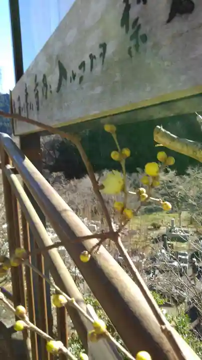 徳雲院のその他建物