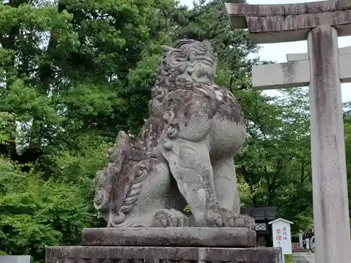 武田神社の狛犬