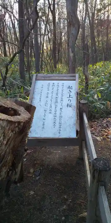 鷹栖神社の自然