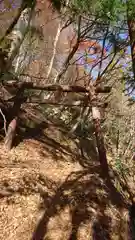 鬼嶽稲荷神社の鳥居