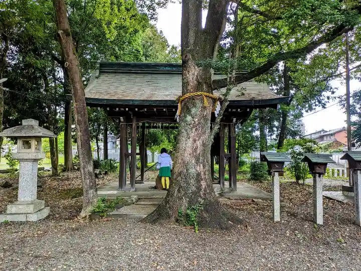 神明社(小牧神明社)の手水舎