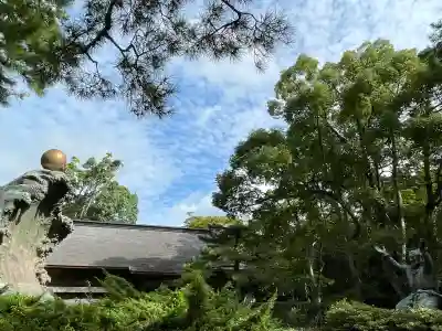 出雲大社(島根県)