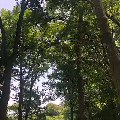 山之神神社(埼玉県)