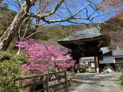 普門寺(切り絵御朱印発祥の寺)の山門・神門