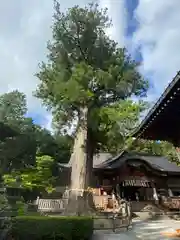 北口本宮冨士浅間神社(山梨県)