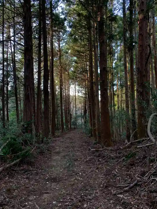 浅間神社の自然