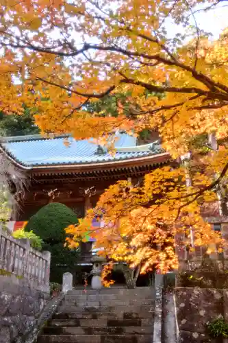 最乗寺（道了尊）(神奈川県)