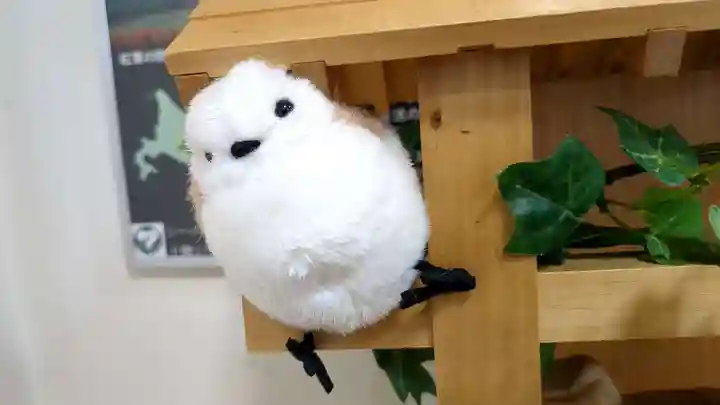 とんとん神社の像