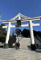 日枝神社(東京都)