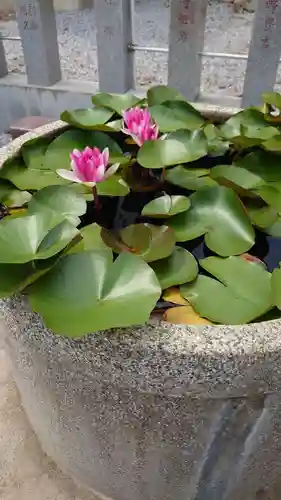 勝呂神社の自然