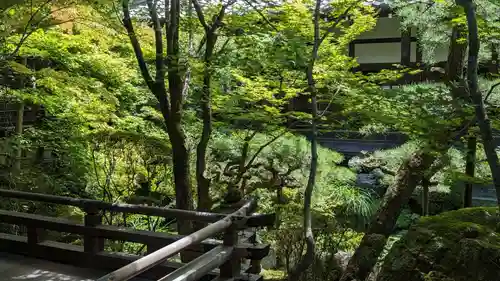 禅林寺（永観堂）(京都府)