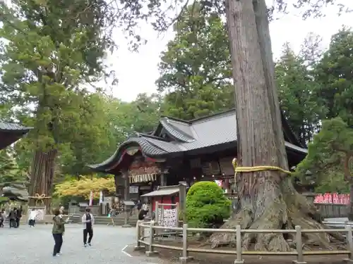 北口本宮冨士浅間神社の建物その他