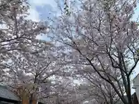 鶴岡八幡宮の自然