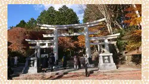三峯神社(埼玉県)