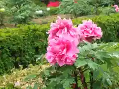 箭弓稲荷神社の庭園