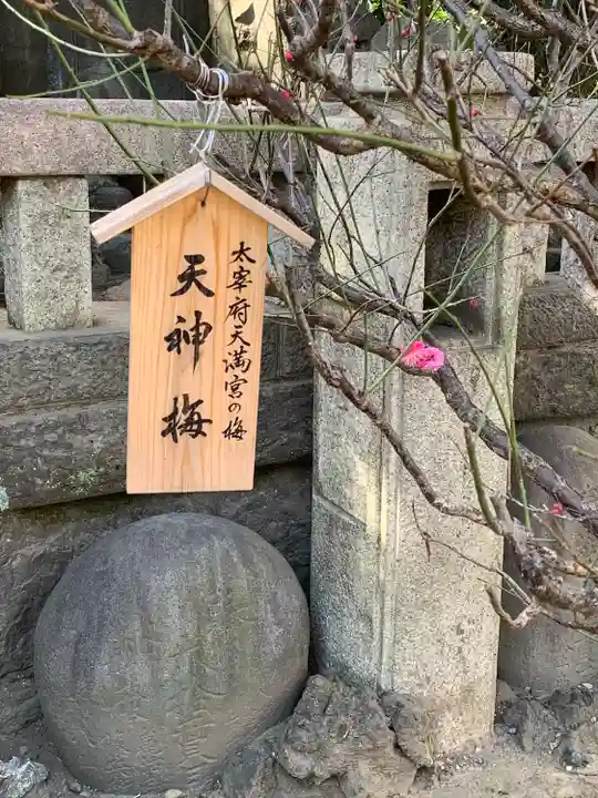 小野照崎神社(東京都)