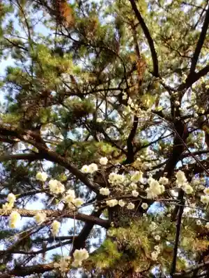 玄国寺(東京都)