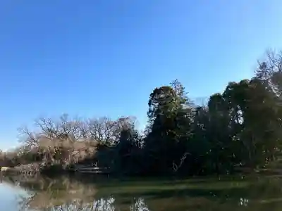 市杵島神社(東京都)