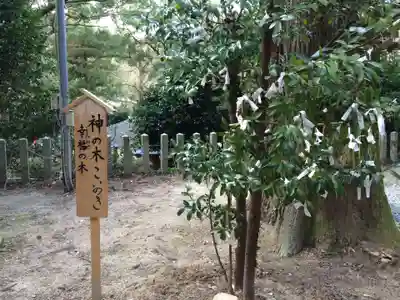高倉神社(福岡県)