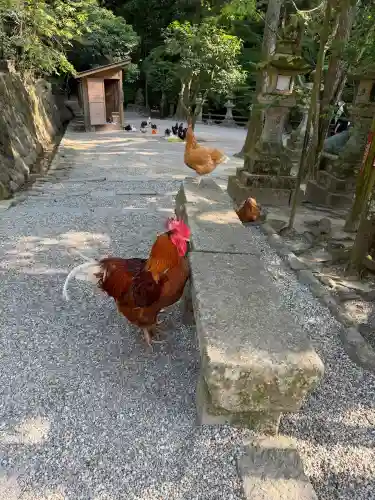 石上神宮の{uncategorized: "未分類", other: "その他", undefined: "問題あり", building: "その他建物", grave: "お墓", sacred_gate: "鳥居", guardian: "狛犬", statue: "像", buddha: "仏像", history: "歴史", nature: "自然", garden: "庭園", animal: "動物", pagoda: "塔", temizu: "手水舎", mountain_gate: "山門・神門", sanctuary: "本殿・本堂", subordinate: "末社・摂社", art: "芸術", scenery: "景色", jizo: "地蔵", ema: "絵馬", goshuin: "御朱印", omikuji: "おみくじ", items: "授与品その他", amulet: "お守り", goshuincho: "御朱印帳", eats: "食事", festival: "お祭り", votive_dance: "神楽", shichigosan: "七五三参", wedding: "結婚式", experience: "体験その他", initially: "初詣", around: "周辺", anti_infection: "感染症対策"}