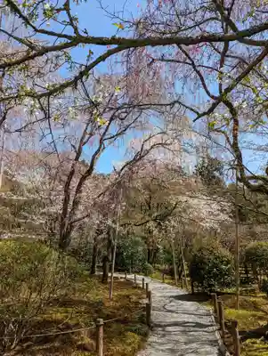 龍安寺(京都府)