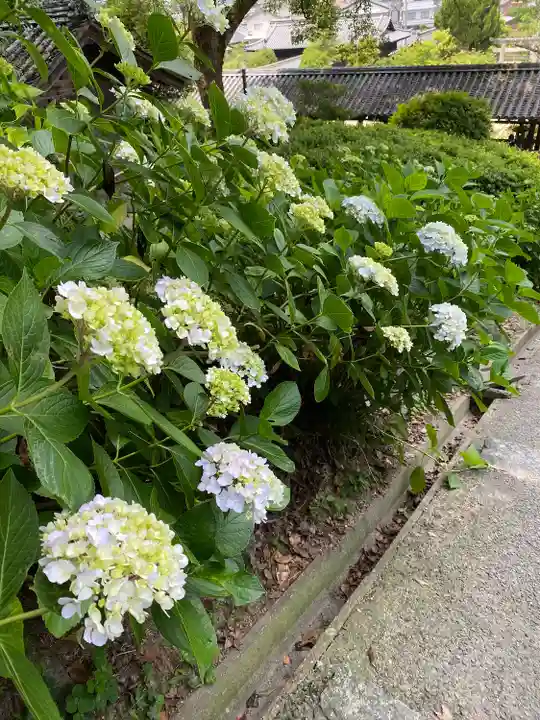 吉備津神社(岡山県)