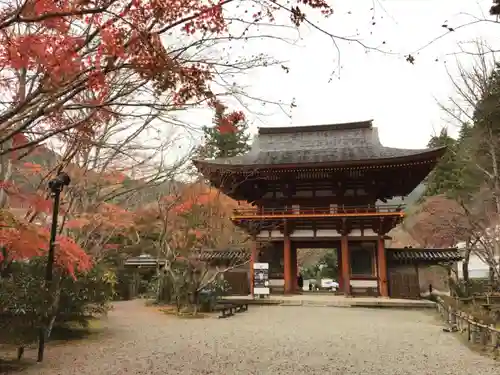 室生寺の山門