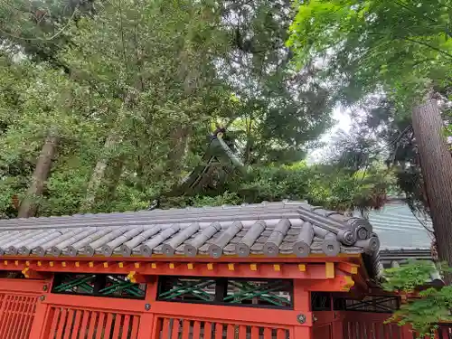 伊豫稲荷神社(愛媛県)