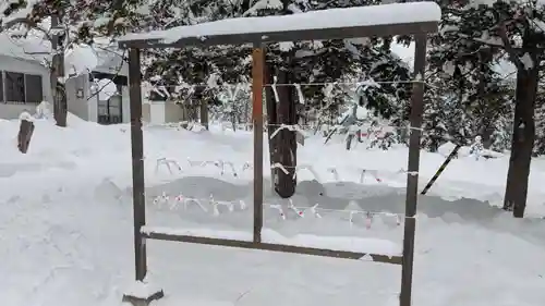 雨紛神社のおみくじ