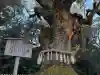 熱田神社の{uncategorized: "未分類", other: "その他", undefined: "問題あり", building: "その他建物", grave: "お墓", sacred_gate: "鳥居", guardian: "狛犬", statue: "像", buddha: "仏像", history: "歴史", nature: "自然", garden: "庭園", animal: "動物", pagoda: "塔", temizu: "手水舎", mountain_gate: "山門・神門", sanctuary: "本殿・本堂", subordinate: "末社・摂社", art: "芸術", scenery: "景色", jizo: "地蔵", ema: "絵馬", goshuin: "御朱印", omikuji: "おみくじ", items: "授与品その他", amulet: "お守り", goshuincho: "御朱印帳", eats: "食事", festival: "お祭り", votive_dance: "神楽", shichigosan: "七五三参", wedding: "結婚式", experience: "体験その他", initially: "初詣", around: "周辺", anti_infection: "感染症対策"}