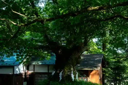 熊野皇大神社(長野県)