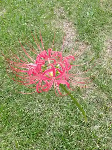 秋月院(神奈川県)