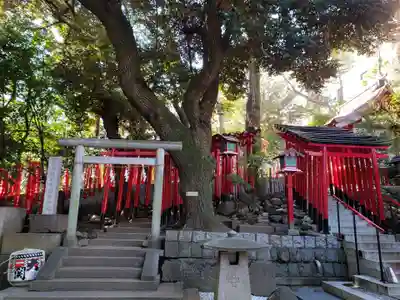 乃木神社の鳥居