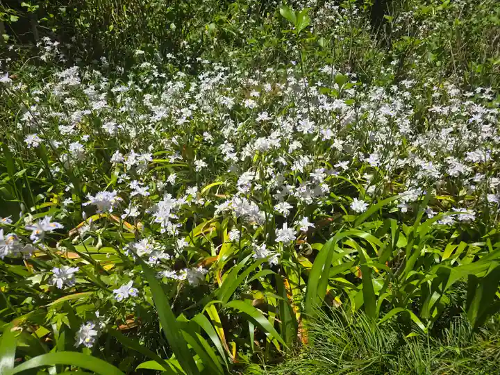杉山谷不動尊(京都府)