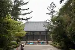 唐招提寺の建物その他