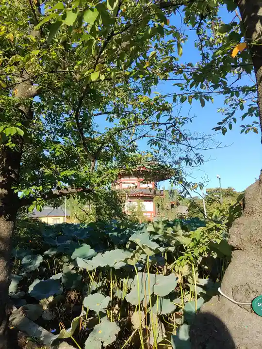 寛永寺不忍池弁天堂のその他建物