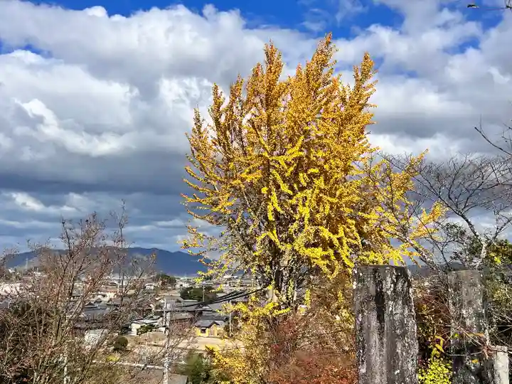 粟井神社(香川県)
