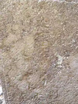 本宮神社（日光二荒山神社別宮）(栃木県)