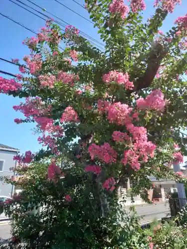 三柱神社の自然