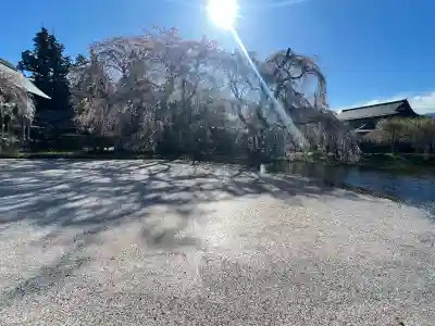 安養寺(長野県)