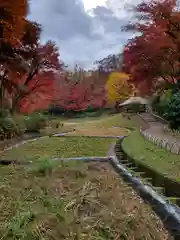 明治神宮の庭園