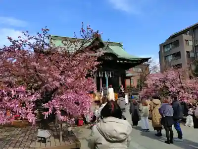 桜神宮(東京都)