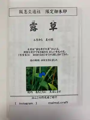 沙沙貴神社(滋賀県)