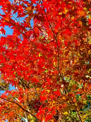 龍田大社(奈良県)